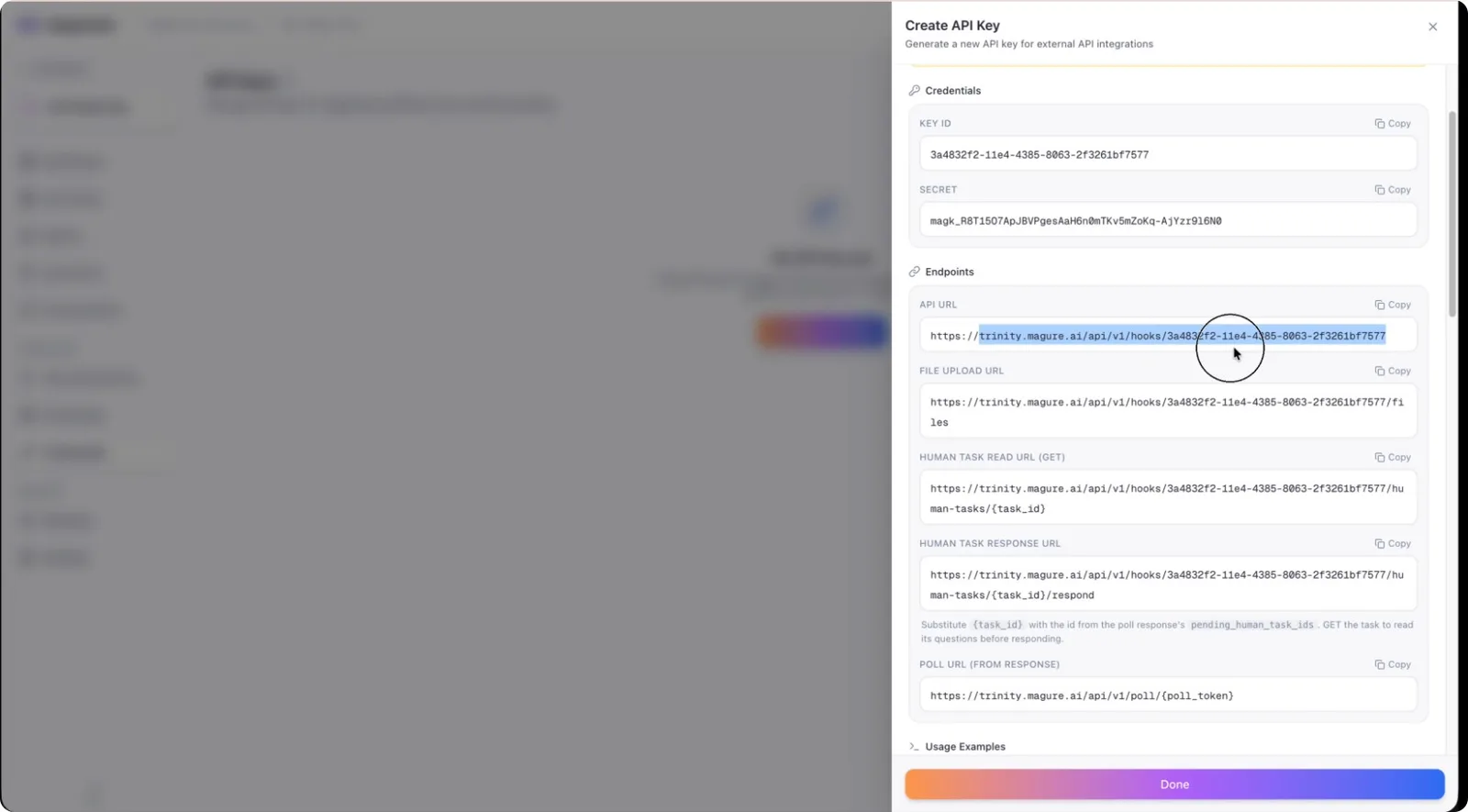 The generated API credentials and endpoint, shown once